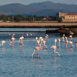 Affittacamere Centro Orbetello