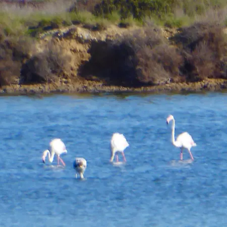 Affittacamere Centro 3* Orbetello